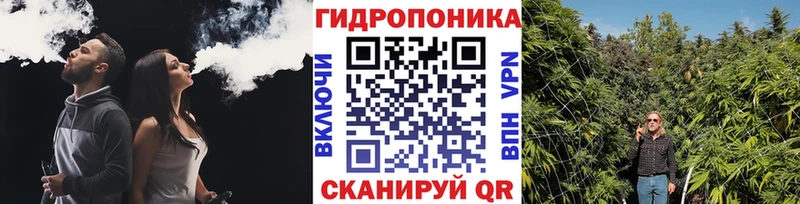 Шишки марихуана VHQ  Холм 