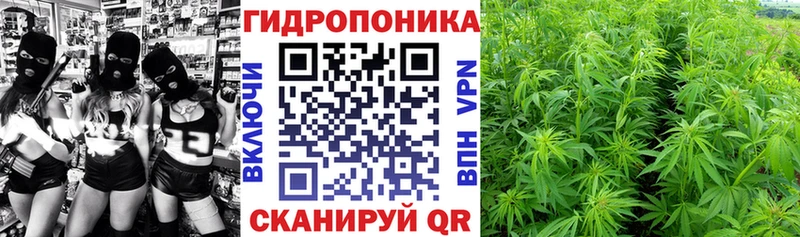 Конопля Bruce Banner Холм